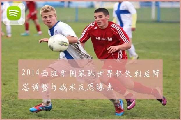 2014西班牙国家队世界杯失利后阵容调整与战术反思曝光
